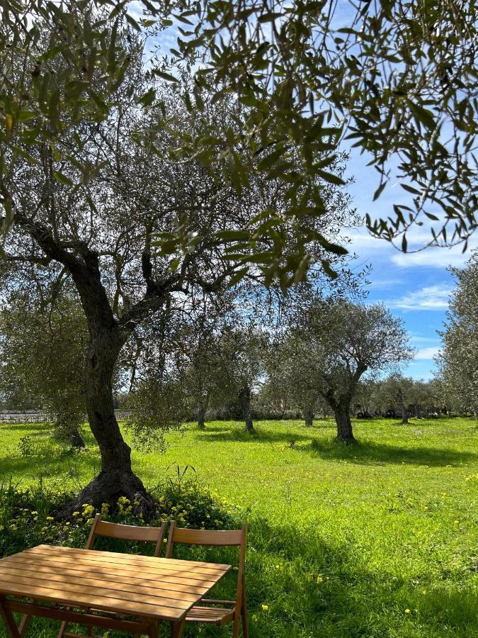 Casa Del Mate Villa Alghero Ngoại thất bức ảnh